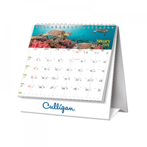 Ocean Escape Calendar 2026